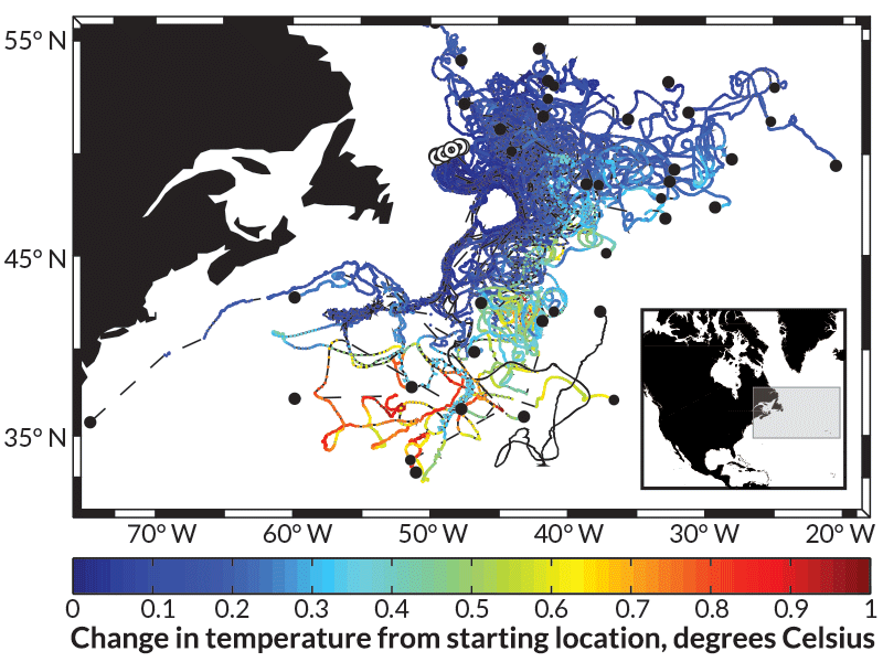 Tracking the motion of floating markers dropped into the northwest Atlantic (white-rimmed circles), researchers found that the idea of an ocean conveyor belt is overly simplistic. The markers quickly split up, ending up in many different destinations (solid circles).