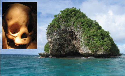 This South Pacific cave has yielded bones of extinct, meter-tall people, including a skull filled with hardened sediment (inset), that have fueled debate over so-called hobbit fossils from Indonesia.