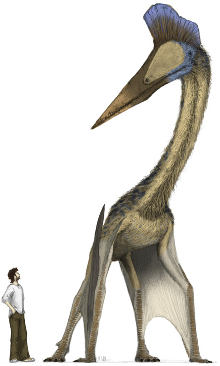 Walking tall Walking tall