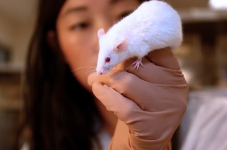 Animal rights and wrongs | Science News Animal rights and wrongs | Science News