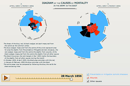 View a Flash presentation showing Nightingale's analysis in action.