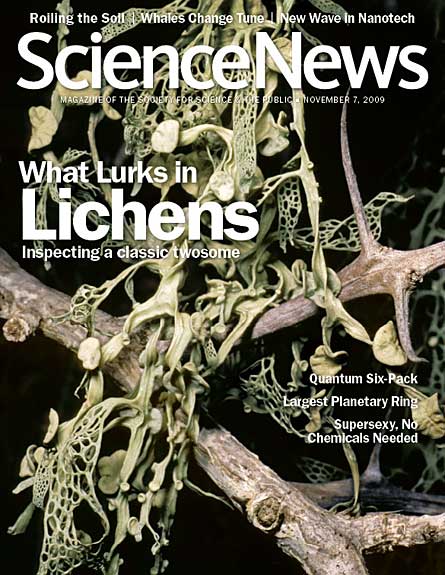 What lurks in lichens