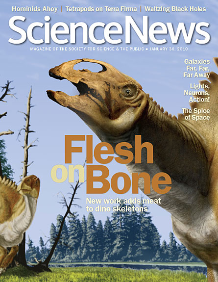 Flesh on bones: new work adds meat to dino skeletons