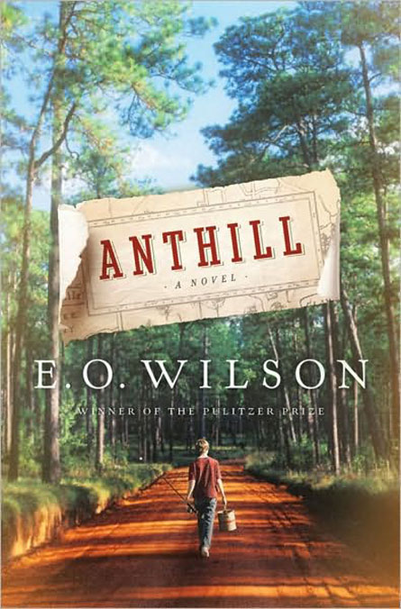 Book Review Anthill A Novel By E O Wilson Science News