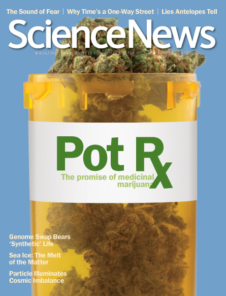 Pot Rx: The promise of medicinal marijuana