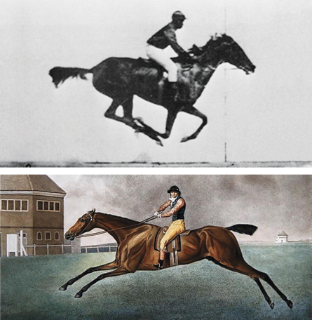 Muybridge horse over Stubb horse painting