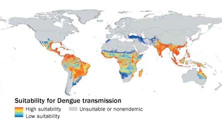 dengue map