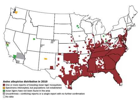 Asian Tiger Mosquito Map In The Eye Of The Tiger | Science News