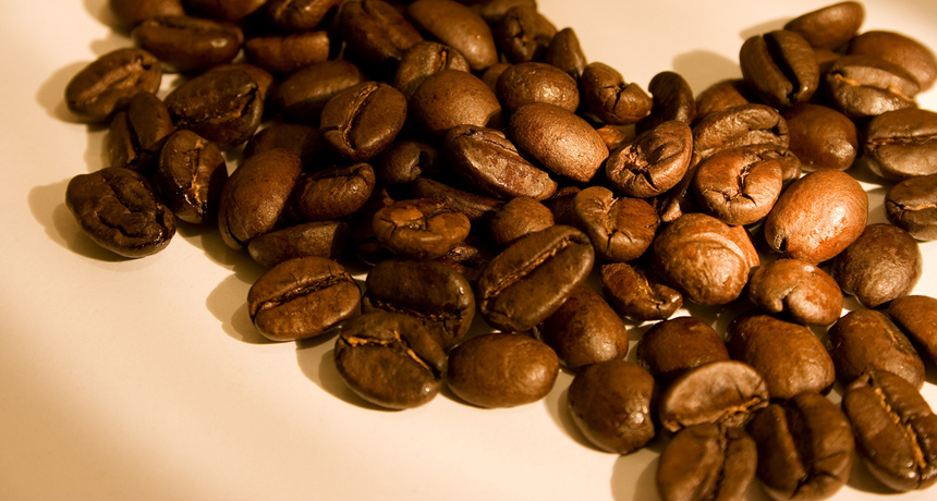 The reason to avoid poop coffee isn't what you think | Science News The reason to avoid poop coffee isn't what you think | Science News