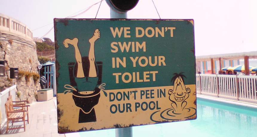 don't pee in the pool