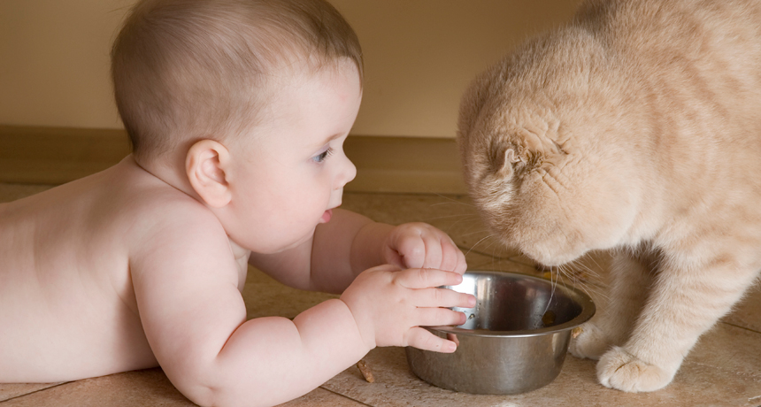 baby and cat