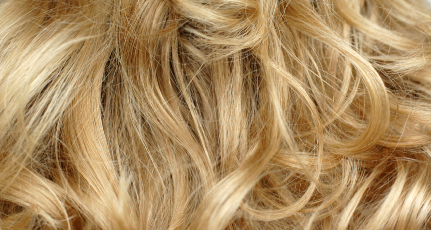 Blonde Hair Genes: What We Know So Far - wide 5