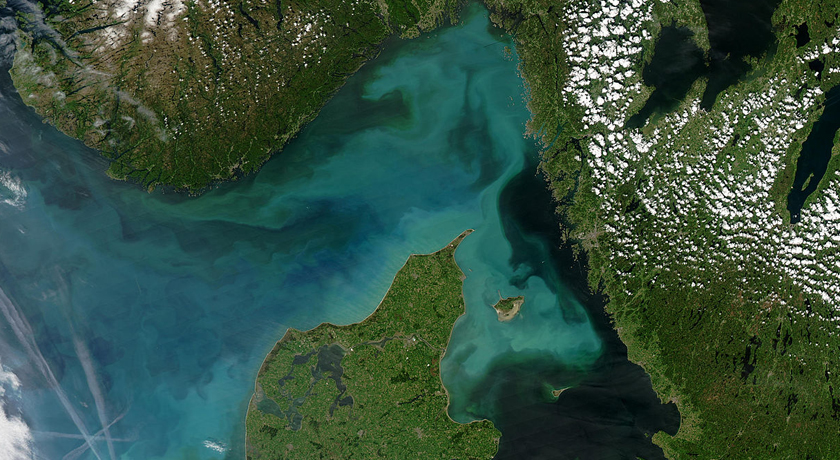 algal blooms seen from satellite