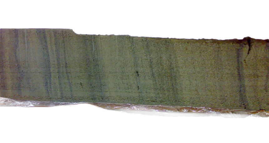 a sediment core