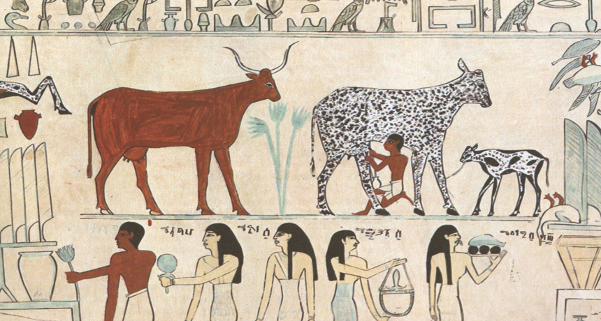Ancient Egyptian drawing