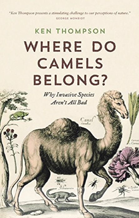 cover of Where do Camels Belong?