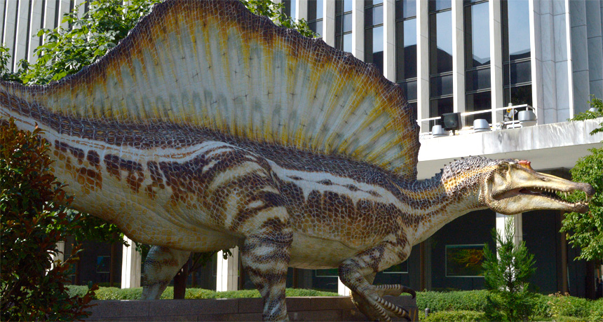 reconstruction of sail-backed Spinosaurus
