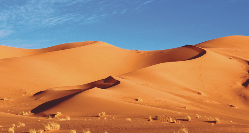Sahara Desert