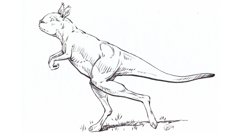illustration of extinct kangaroo walking