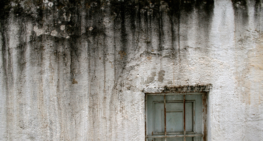 Mold