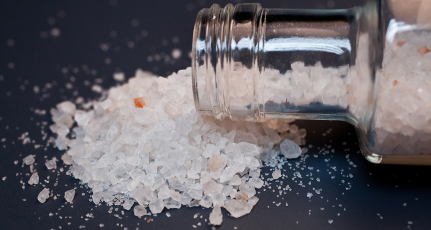bath salts, the stimulant drug