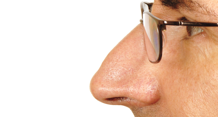 nose