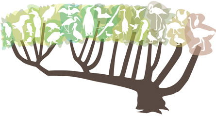 tree of life