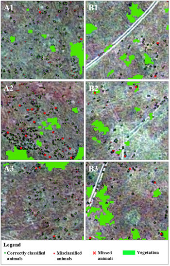 six tiles showing satellite images with animals