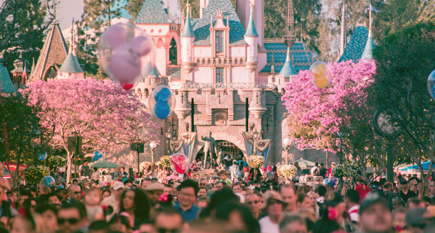 Disneyland crowd