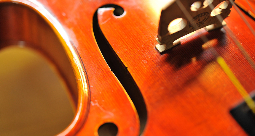 Suzuki violin