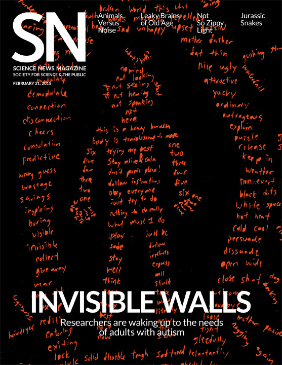 Feb. 21, 2015, cover