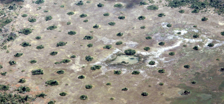 aerial photo of termite mounds in Mozambique