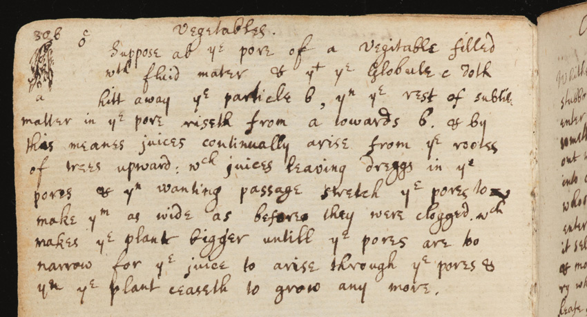 Newton's journal