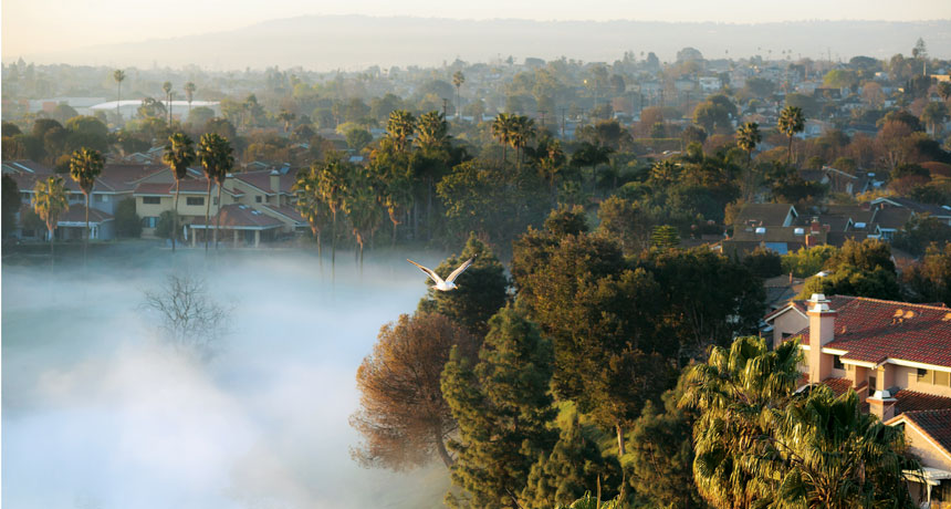 LA Fog