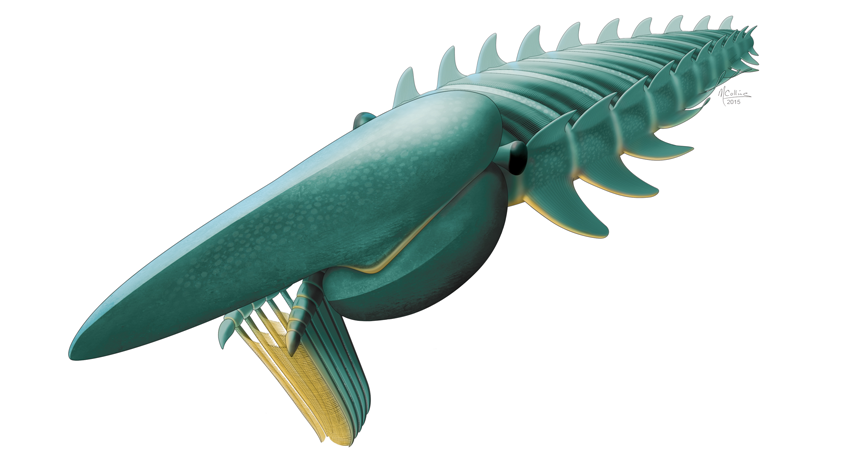 ancient arthropod