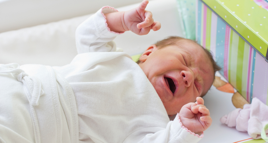 In Babies Turning Down Inflammation Soothes The Hurt Science News