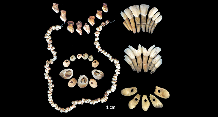 Forager jewelry
