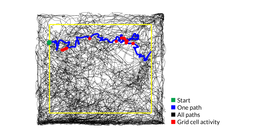 Mouse map