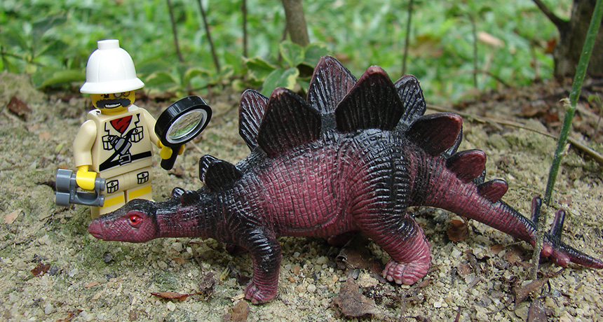 toy stegosaurus