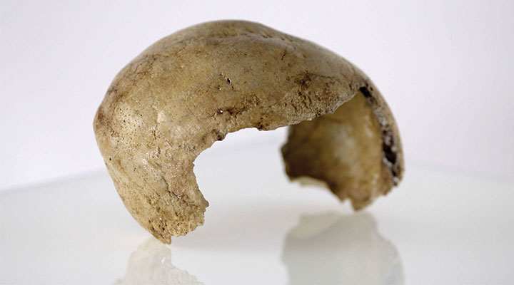 Mungo Man skeleton fragment