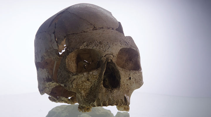 40,000-year-old skull of a teenager