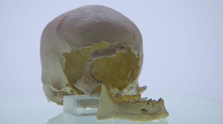 oldest known modern human fossil found in the Americas