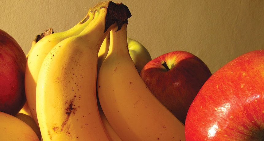fruit ripening