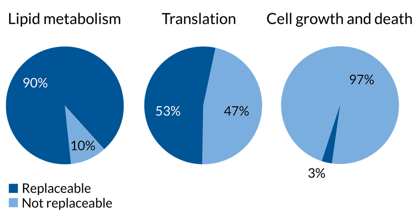 gene stats