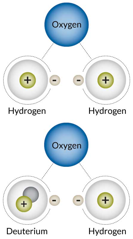 water types