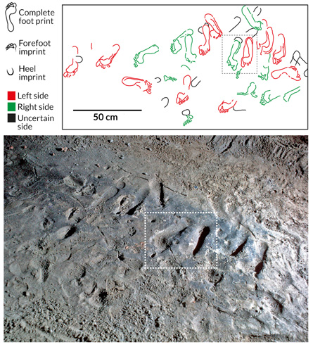 foot print graphic