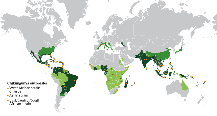 Map of chikungunya outbreaks and mosquito ranges