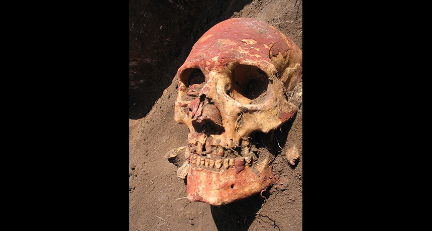 skull