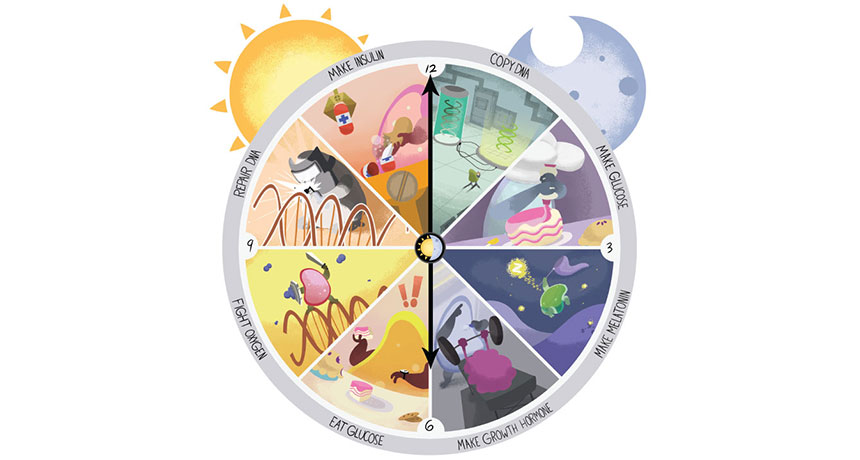 The origin of biological clocks
