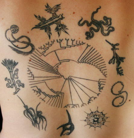 picture of tree of life tattoo